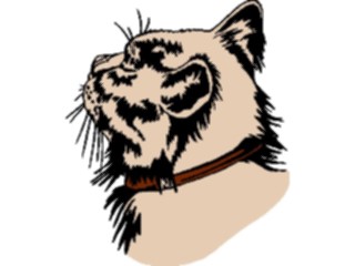 Sticker Custom Preview Image #022763 Animals Domesticated Cat33