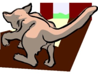 Sticker Custom Preview Image #022773 Animals Domesticated Cat43