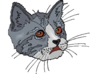 Sticker Custom Preview Image #022783 Animals Domesticated Cat53