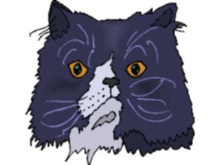 Sticker Custom Preview Image #022784 Animals Domesticated Cat54