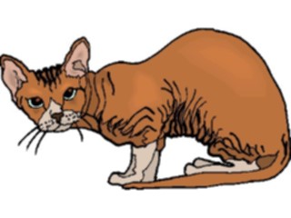 Sticker Custom Preview Image #022789 Animals Domesticated Cat59