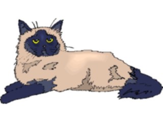 Sticker Custom Preview Image #022790 Animals Domesticated Cat60