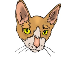 Sticker Custom Preview Image #022793 Animals Domesticated Cat63