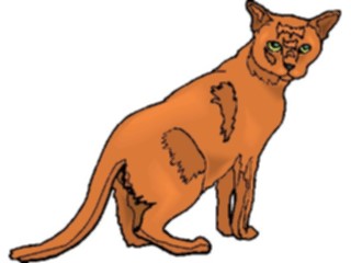 Sticker Custom Preview Image #022794 Animals Domesticated Cat64