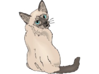 Sticker Custom Preview Image #022801 Animals Domesticated Cat71