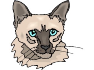 Sticker Custom Preview Image #022802 Animals Domesticated Cat72