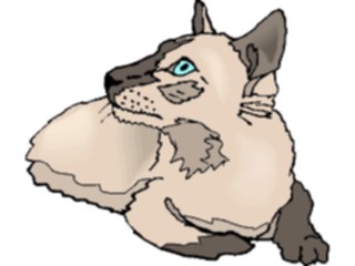 Sticker Custom Preview Image #022803 Animals Domesticated Cat73