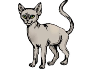 Sticker Custom Preview Image #022804 Animals Domesticated Cat74