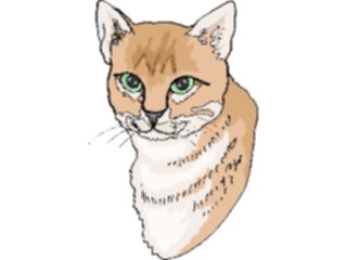 Sticker Custom Preview Image #022805 Animals Domesticated Cat75