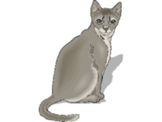 Sticker Custom Preview Image #022806 Animals Domesticated Cat76