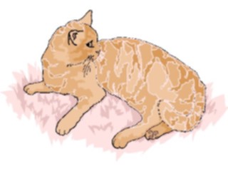 Sticker Custom Preview Image #022810 Animals Domesticated Cat80