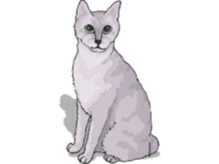 Sticker Custom Preview Image #022811 Animals Domesticated Cat81