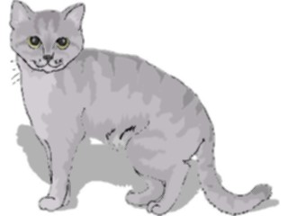 Sticker Custom Preview Image #022812 Animals Domesticated Cat82