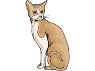 Sticker Custom Preview Image #022813 Animals Domesticated Cat83