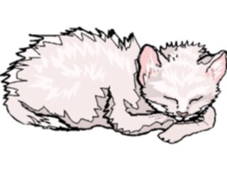 Sticker Custom Preview Image #022814 Animals Domesticated Cat84