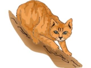 Sticker Custom Preview Image #022815 Animals Domesticated Cat85
