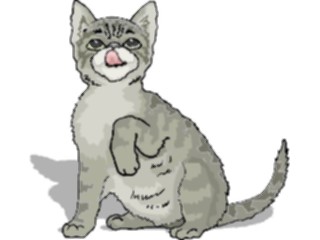 Sticker Custom Preview Image #022817 Animals Domesticated Cat87