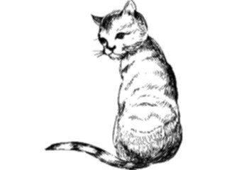 Sticker Custom Preview Image #022827 Animals Domesticated Cat97