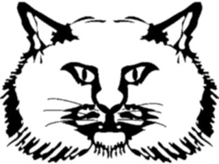 Sticker Custom Preview Image #022831 Animals Domesticated Cat Face1