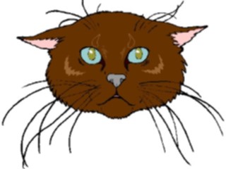 Sticker Custom Preview Image #022832 Animals Domesticated Cat Face11