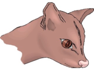 Sticker Custom Preview Image #022835 Animals Domesticated Cat Face3