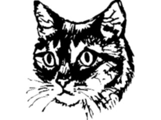 Sticker Custom Preview Image #022838 Animals Domesticated Cat Head