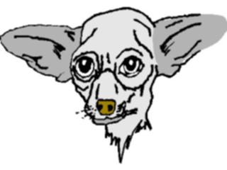 Sticker Custom Preview Image #022867 Animals Domesticated Chihuahua1