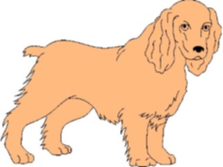 Sticker Custom Preview Image #022870 Animals Domesticated Cocker Spaniel1