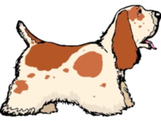 Sticker Custom Preview Image #022873 Animals Domesticated Cocker Spaniel4