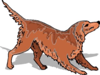 Sticker Custom Preview Image #022874 Animals Domesticated Cocker Spaniel5