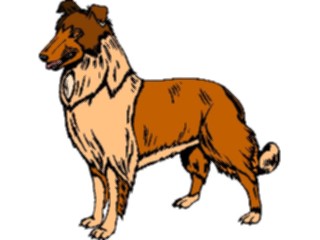 Sticker Custom Preview Image #022876 Animals Domesticated Collie1