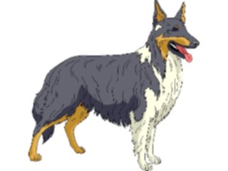 Sticker Custom Preview Image #022877 Animals Domesticated Collie2