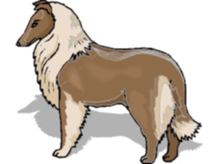Sticker Custom Preview Image #022878 Animals Domesticated Collie3