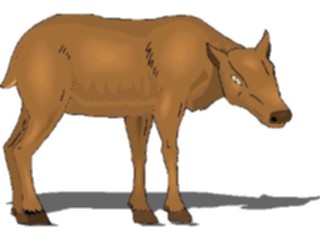 Sticker Custom Preview Image #022879 Animals Domesticated Colt