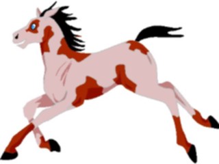 Sticker Custom Preview Image #022880 Animals Domesticated Colt Galloping