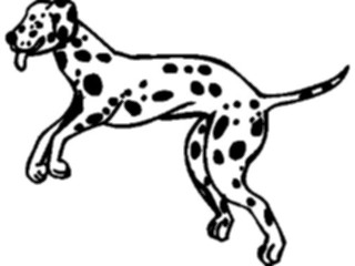 Sticker Custom Preview Image #022884 Animals Domesticated Dalmatian2