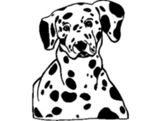 Sticker Custom Preview Image #022885 Animals Domesticated Dalmatian3