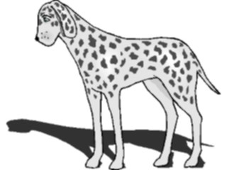 Sticker Custom Preview Image #022887 Animals Domesticated Dalmatian5