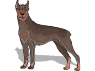 Sticker Custom Preview Image #022896 Animals Domesticated Doberman5