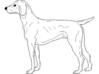 Sticker Custom Preview Image #022913 Animals Domesticated Dog013