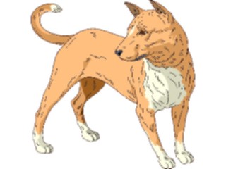 Sticker Custom Preview Image #022924 Animals Domesticated Dog024