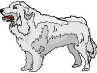 Sticker Custom Preview Image #022947 Animals Domesticated Dog047