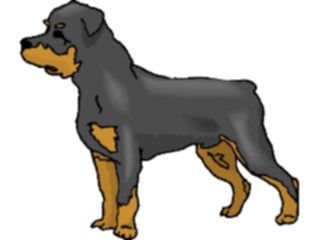 Sticker Custom Preview Image #022953 Animals Domesticated Dog053