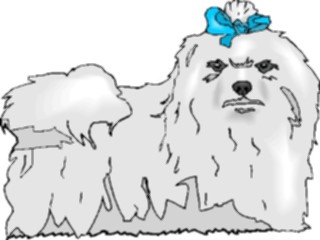 Sticker Custom Preview Image #022972 Animals Domesticated Dog072