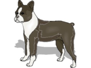 Sticker Custom Preview Image #023003 Animals Domesticated Dog103