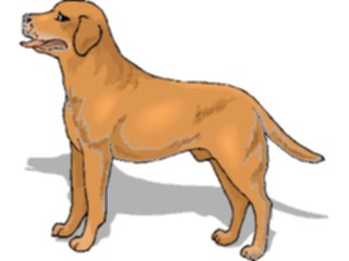 Sticker Custom Preview Image #023004 Animals Domesticated Dog104