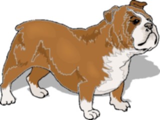 Sticker Custom Preview Image #023005 Animals Domesticated Dog105