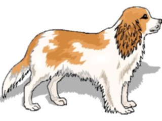 Sticker Custom Preview Image #023007 Animals Domesticated Dog107