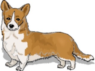 Sticker Custom Preview Image #023016 Animals Domesticated Dog116