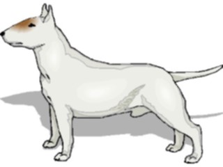 Sticker Custom Preview Image #023017 Animals Domesticated Dog117